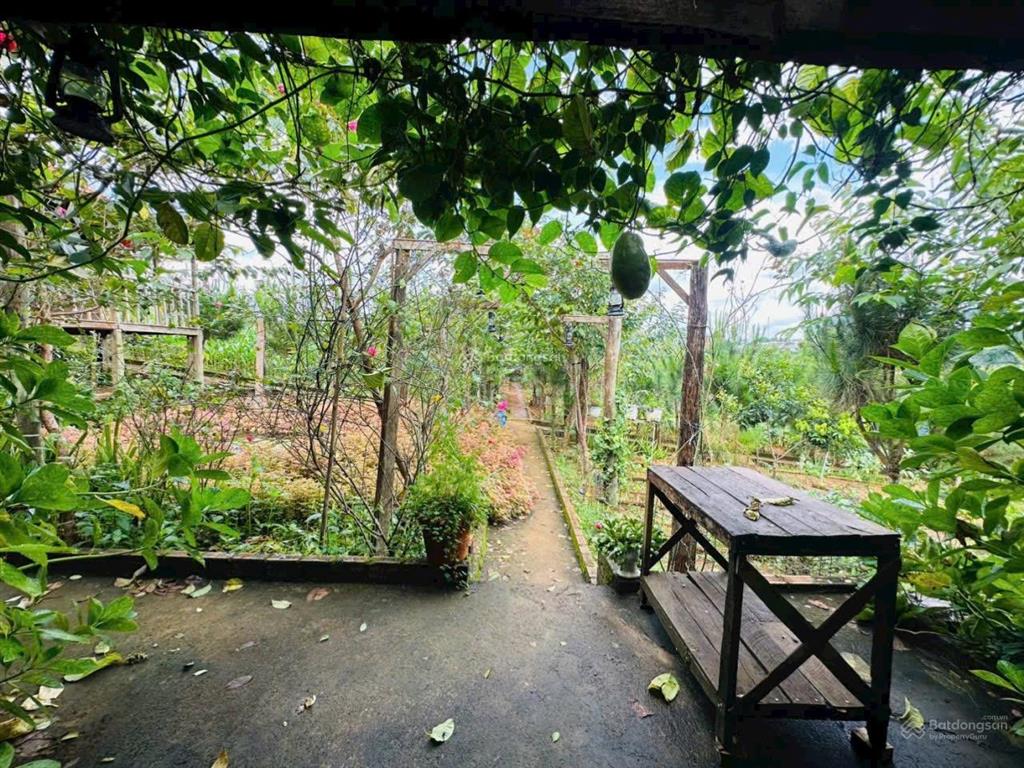 Cô cao tuổi không lên lại đành bán lỗ sâu miếng 1500m2 ven đà lạt chỉ 601tr