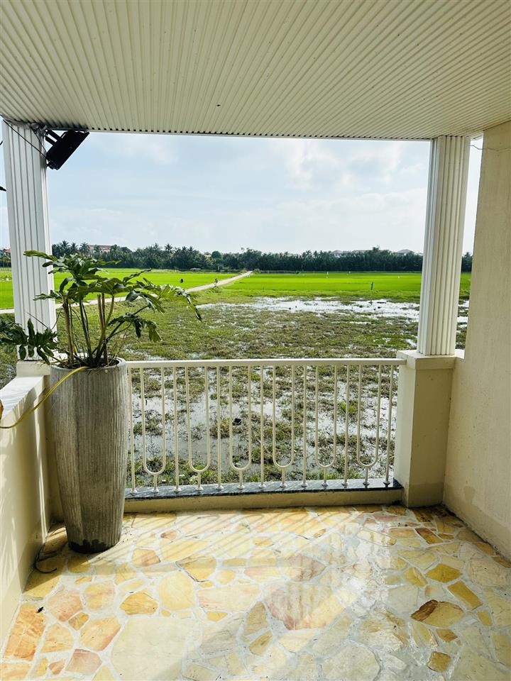 Chào bán căn villa hồ bơi view lúa toàn cảnh hội an cách phố cổ chỉ 1km
