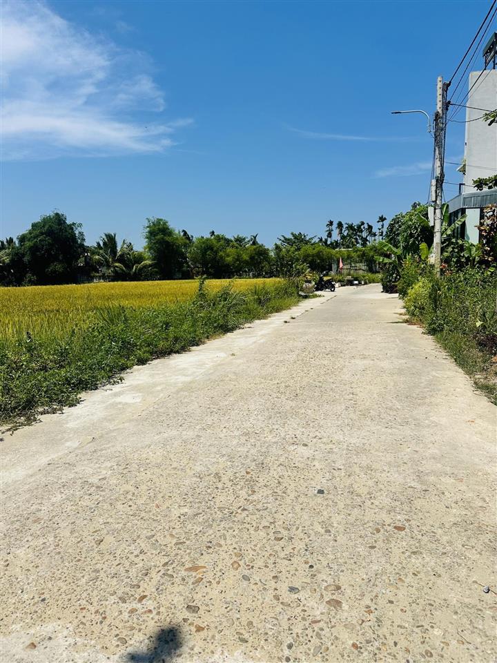 Hàng hiếm đất view lúa trực diện tại hội an 130m2 giá chỉ 3xtr/m2