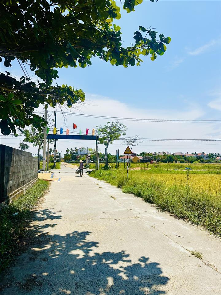 Hàng hiếm đất view lúa trực diện tại hội an 130m2 giá chỉ 3xtr/m2