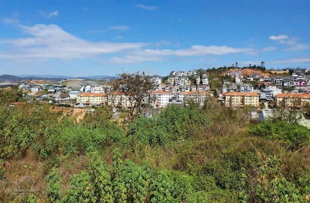 418m2 đất biệt thự đương kim đồng, view đẹp, 14.7 tỷ