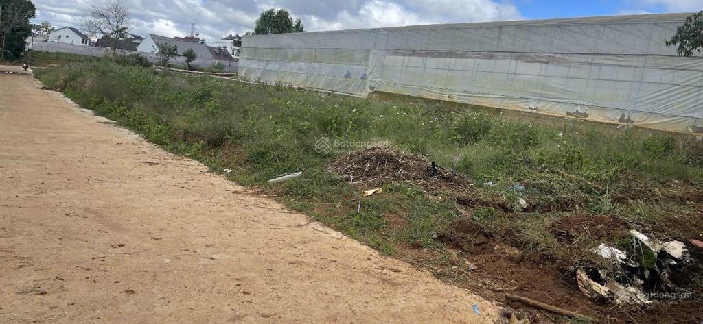 Bán đất biệt thự khu hòn bồ thái phiên 225m2 4.25 tỷ