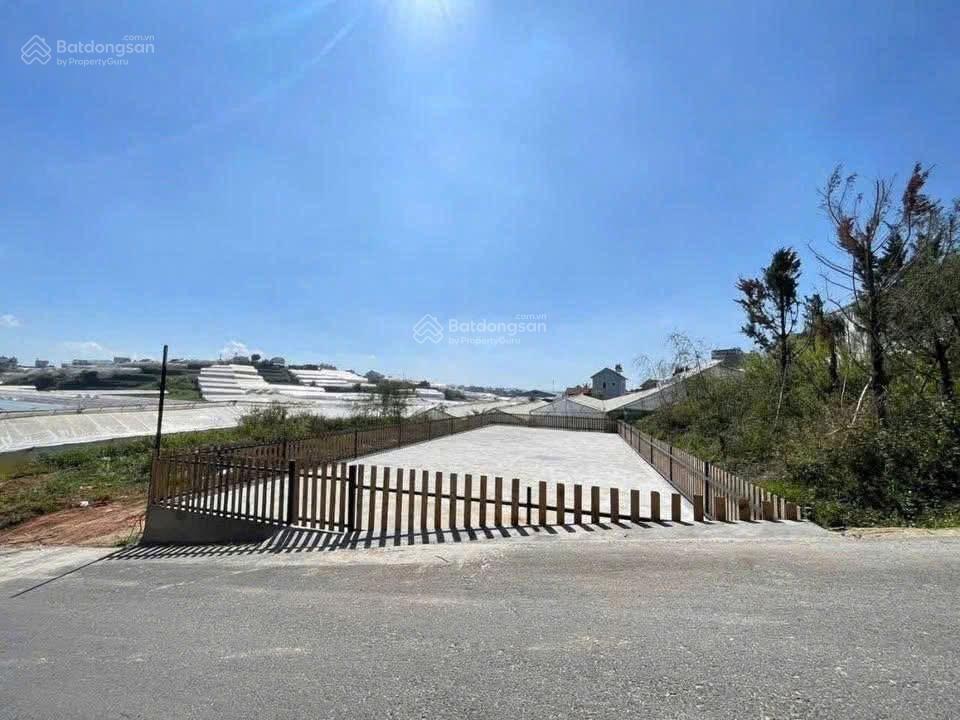 Ngộp giá mạnh trần quang khải, p8, đà lạt