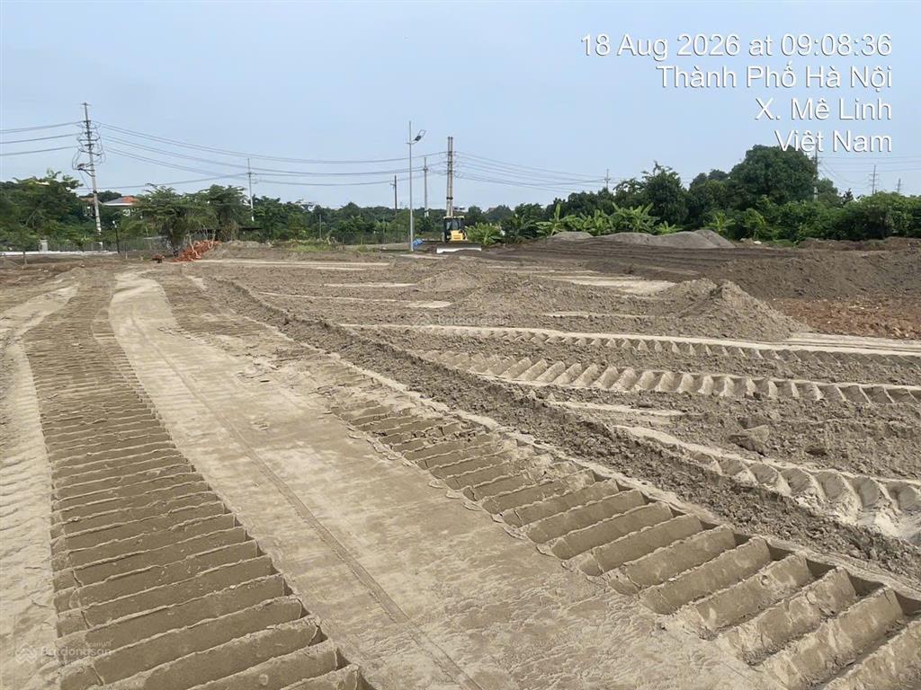 Bán đất nền biệt thự trục chính đường lớn diamond park mê linh, diện tích 300m2