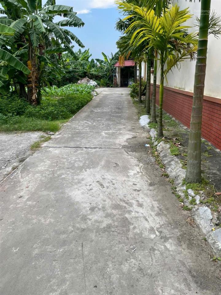 Đất thổ cư gần sân bay gia bình, đất ở lâu dài rõ ràng không vướng quy hoạch