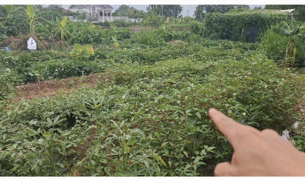 Lô đất ô tô tránh nhau, quy hoạch tiềm năng