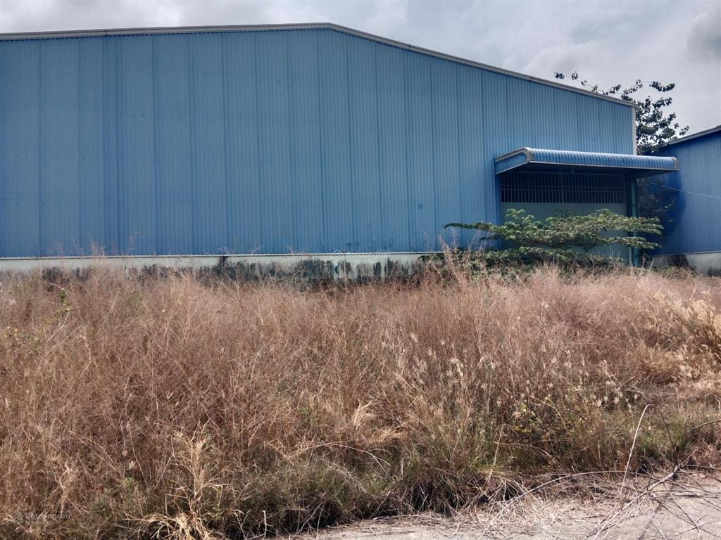 Cần bán kho đất thổ cư 100% 3.000 m2 giá 36 tỷ phường khánh hậu thành phố tân an long an