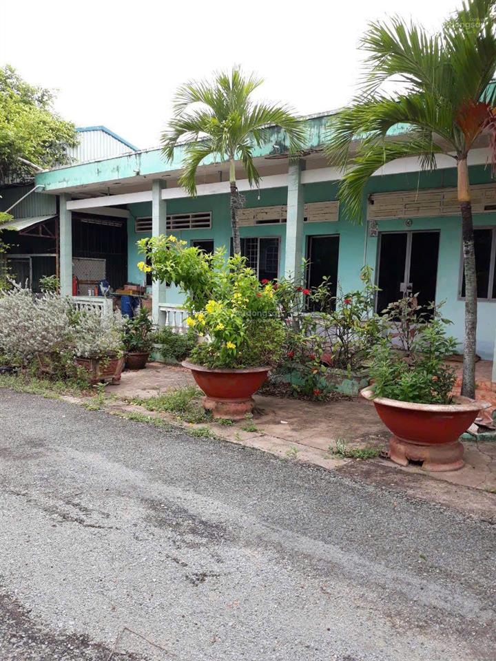 Bán xưởng và đất 12.550 m2(đất skc) giá 70 tỷ / đường quốc lộ 62 xã mỹ an thủ thừa long an