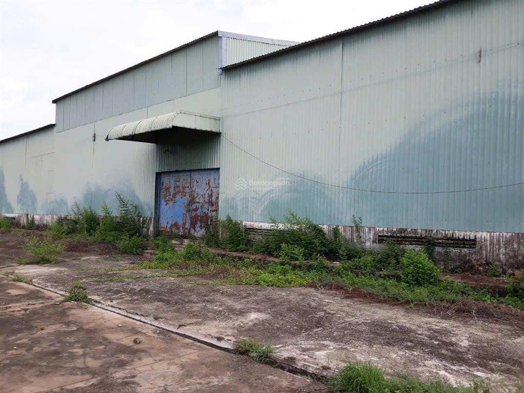 Bán xưởng và đất 12.550 m2(đất skc) giá 70 tỷ / đường quốc lộ 62 xã mỹ an thủ thừa long an