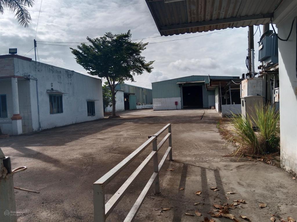 Cho thuê xưởng 5.000 m2 giá 140 triệu / đường võ văn bích xã bình mỹ củ chi tphcm