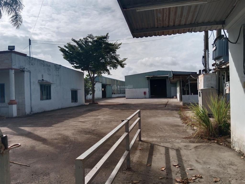 Cho thuê xưởng 5.000 m2 giá 140 triệu / đường võ văn bích xã bình mỹ củ chi tphcm