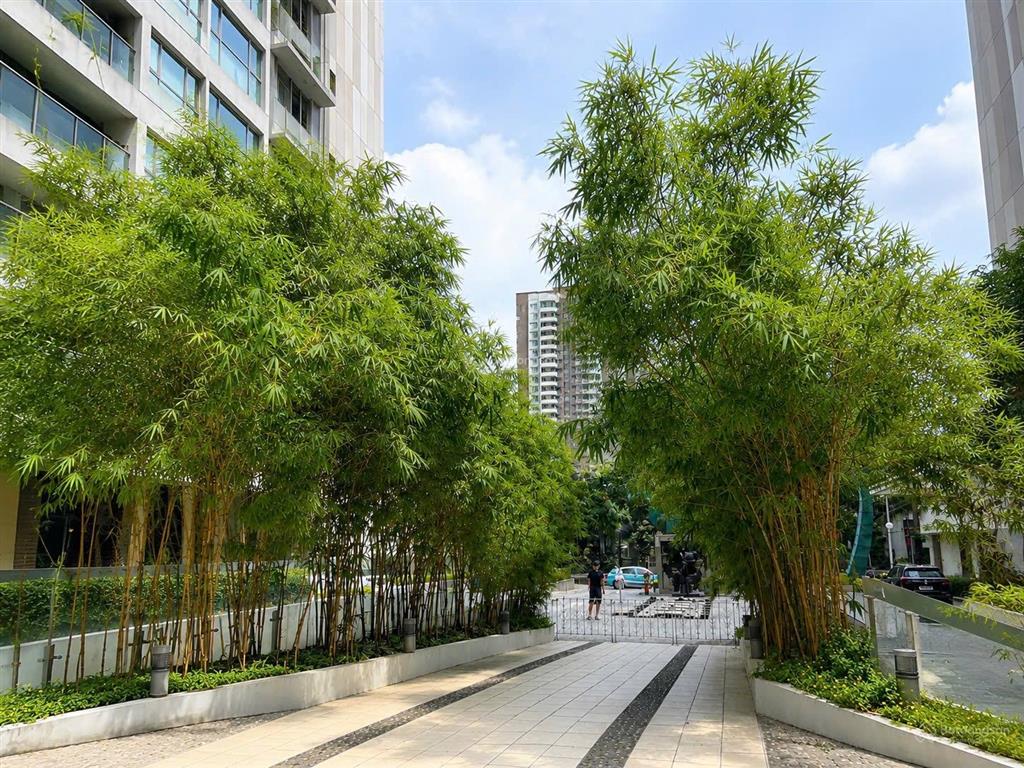 Chính chủ cần bán căn hộ mandarin garden diện tích 123m, tầng cao, giá 11xtr/m2
