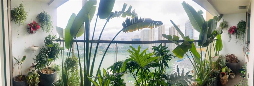 Cập nhập quỹ căn mandarin garden hoàng minh giám cần bán trong tháng 8/2026 giá từ 14 tỷ full nội t