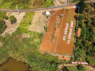 Đất mặt tiền đường tôn thất thuyết phường 2 bảo lộc, lâm đồng. 565m2 (250m2 thổ cư) giá chỉ 2,4tỷ.