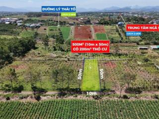 Đất đường nhánh lý thái tổ đambri phường 2 bảo lộc. 500m2 (200m2 thổ cư) 10mx50m. giá chỉ 1,6tỷ