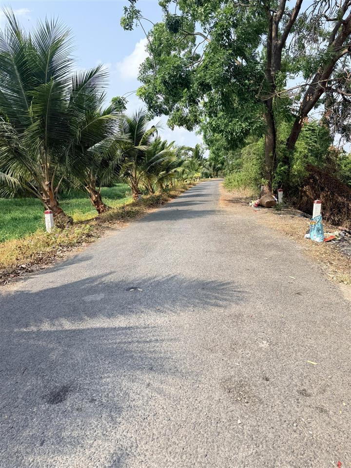 Bán nhà chính chủ số 23 đê bao rạch cầu già, xã tân quý tây, huyện bình chánh, 6,8 tỷ thương lượng