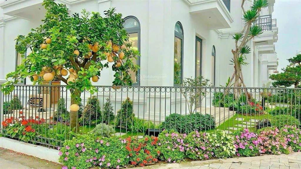Biệt thự solasta mansion dương nội  hà đông, giá chỉ từ 155tr/m2 (~26 tỷ) cho 20 căn đầu tiên.