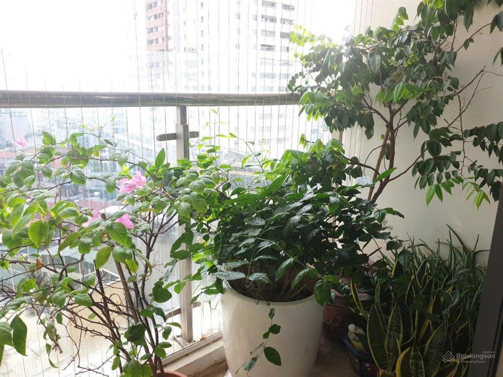 Tin vip! bán cc tại riverside garden 349 vũ tông phan cạnh đường vành đai 2.5, đối diện cao xà lá