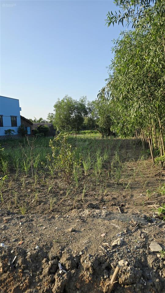 Bán lô đất 300m2 thổ cư, nở hậu, đường nhựa rộng 10m, cạnh kđt vinhome phước vĩnh tây, long an cũ