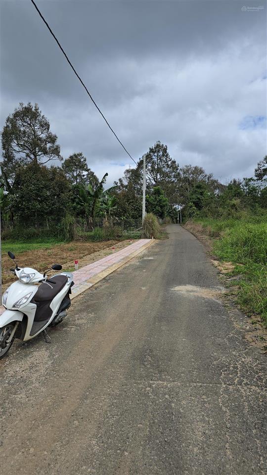 Bán lô đất thổ cư đường ô tô, cách ubnd xã tân lạc, bảo lộc 800m
