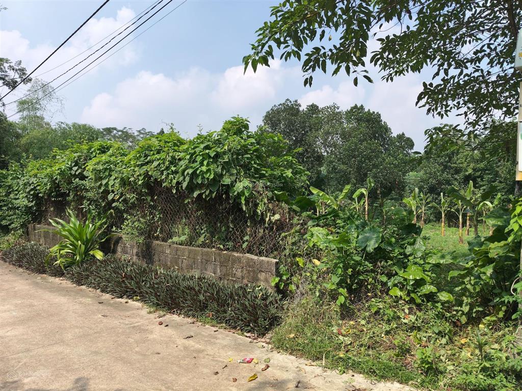 Hơn 2 tỷ thôi sở hữu lô góc 3 mặt tiền tại ba vì, hn.  0828 725 ***