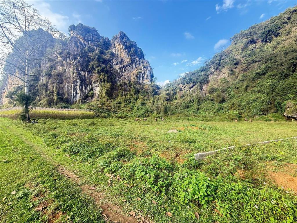 Chỉ hơn 200tr sở hữu ngay 1000m mặt tiền 40m sổ hồng cách trung tâm hn 80km  0828 725 ***