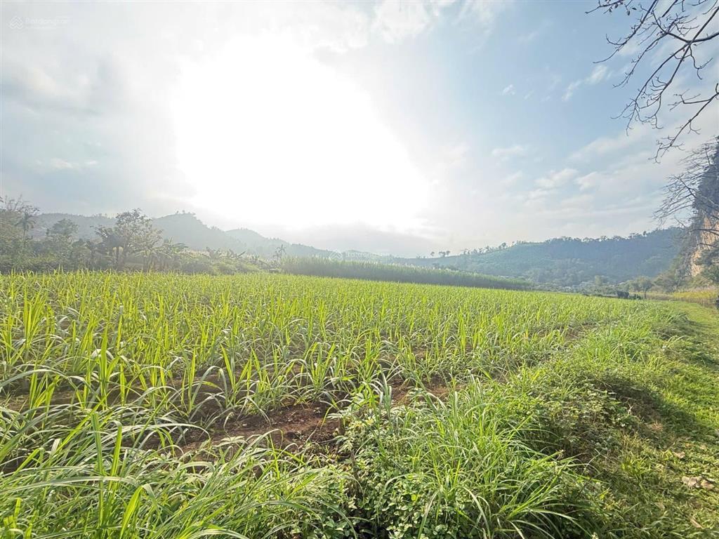 Chỉ hơn 200tr sở hữu ngay 1000m mặt tiền 40m sổ hồng cách trung tâm hn 80km  0828 725 ***
