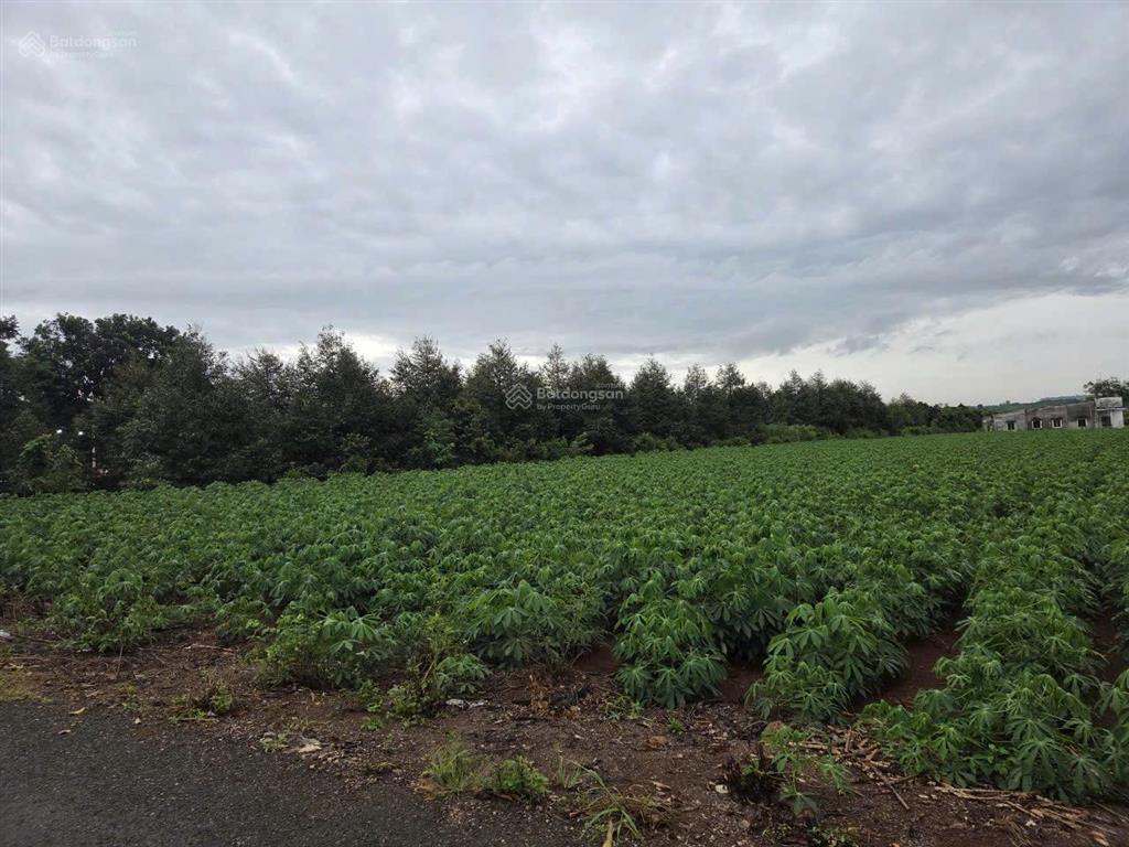 Bán hơn 14000m2 view suối lớn cực đẹp giá 18 tỷ.  tài phú mỹ 0707 004 ***
