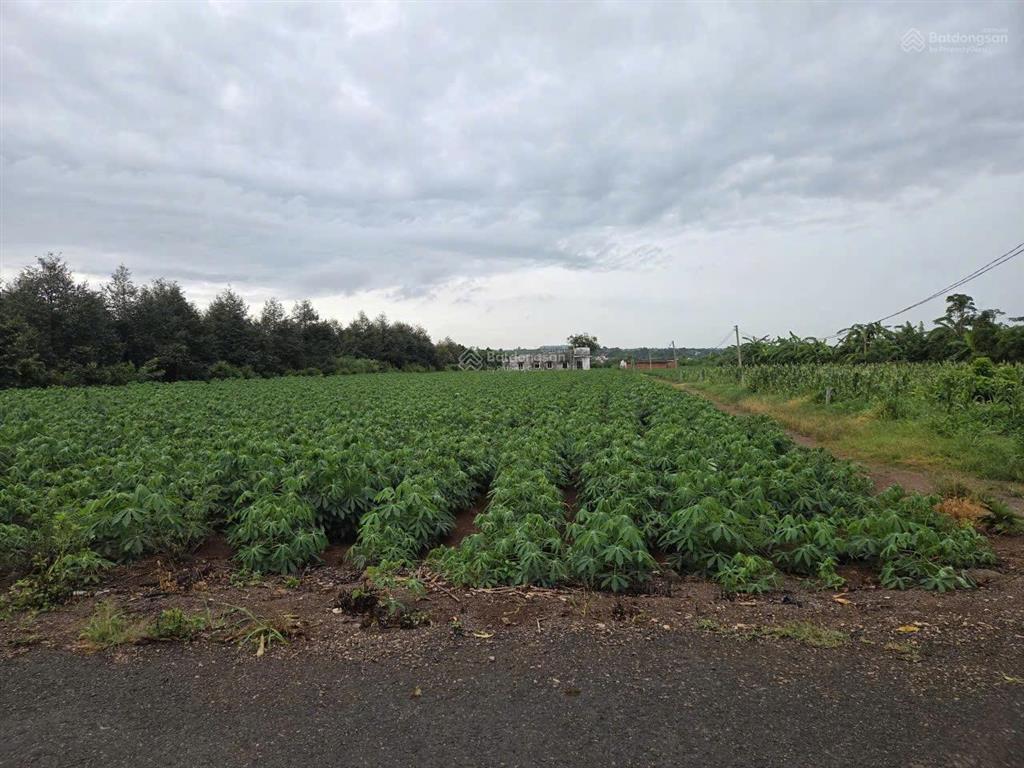 Bán hơn 14000m2 view suối lớn cực đẹp giá 18 tỷ.  tài phú mỹ 0707 004 ***
