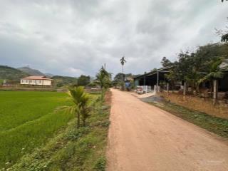 Cơ hội vàng sở hữu đất du lịch giá siêu hời chỉ hơn 500tr, đường liên xã