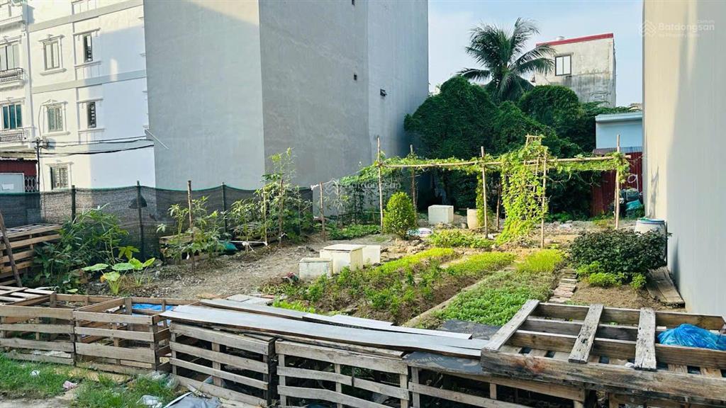 2 lô liền kề tuyến 2 bùi viện (sát ngã 4 trực cát)  276,7m2  ngang 11m  giá hạt rẻ