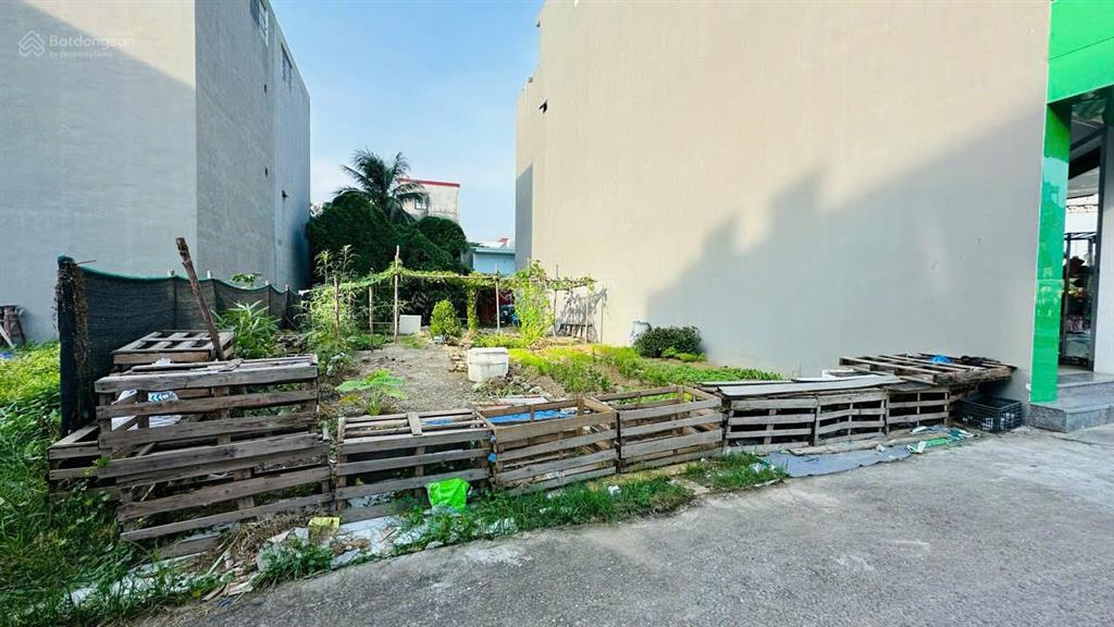 2 lô liền kề tuyến 2 bùi viện (sát ngã 4 trực cát)  276,7m2  ngang 11m  giá hạt rẻ