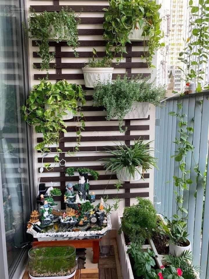 Tôi chính chủ cần bán gấp căn 3 pn 120m2 view hồ thanh xuân, ace môi giới đẩy giúp xin cảm ơn!