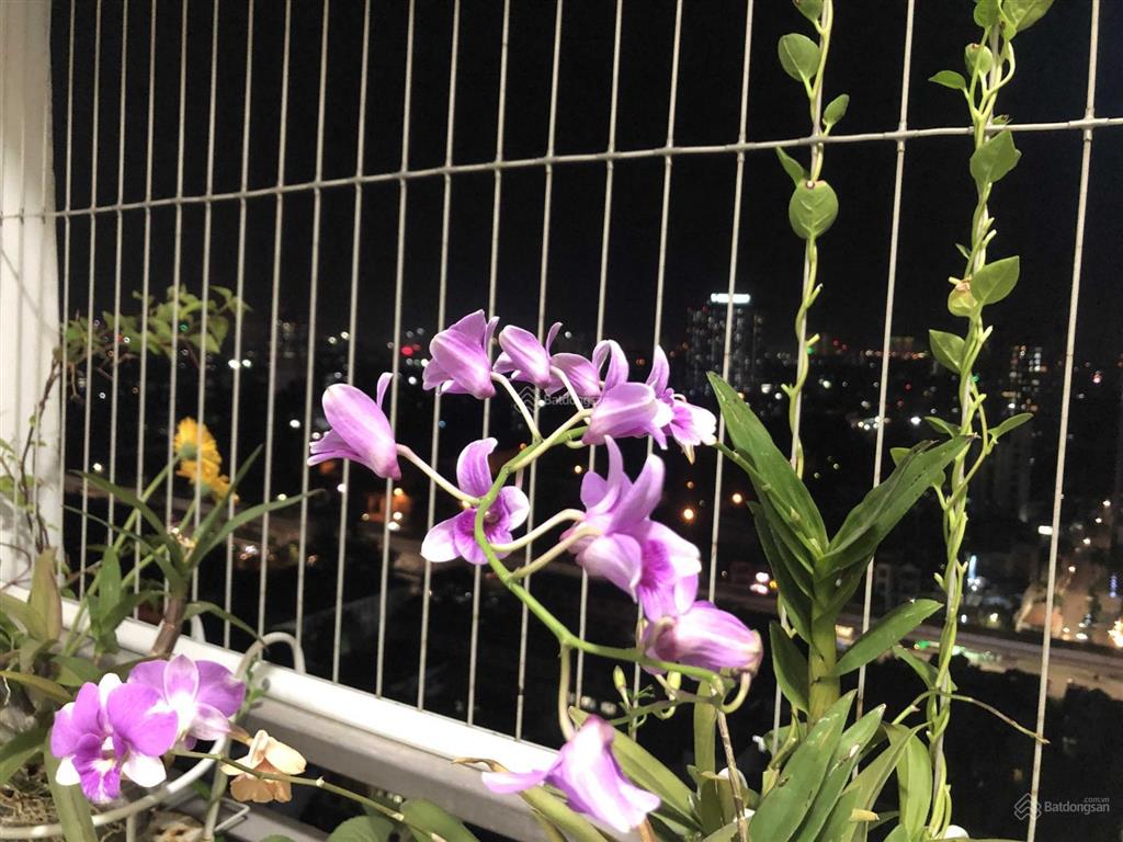 Cần tiền bán gấp căn 2pn ban công đn tầng 15 chung cư golden palm giá thỏa thuận, ra lộc nhiệt tình