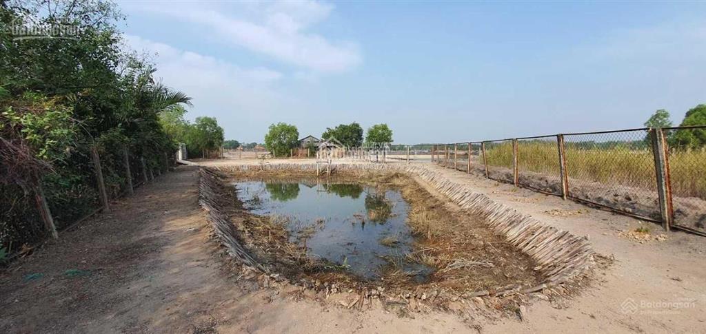 Chính chủ cần bán 1.154m2 đất với 70m mặt tiền đường bà xán, thanh khoản tốt, khai thác ngay