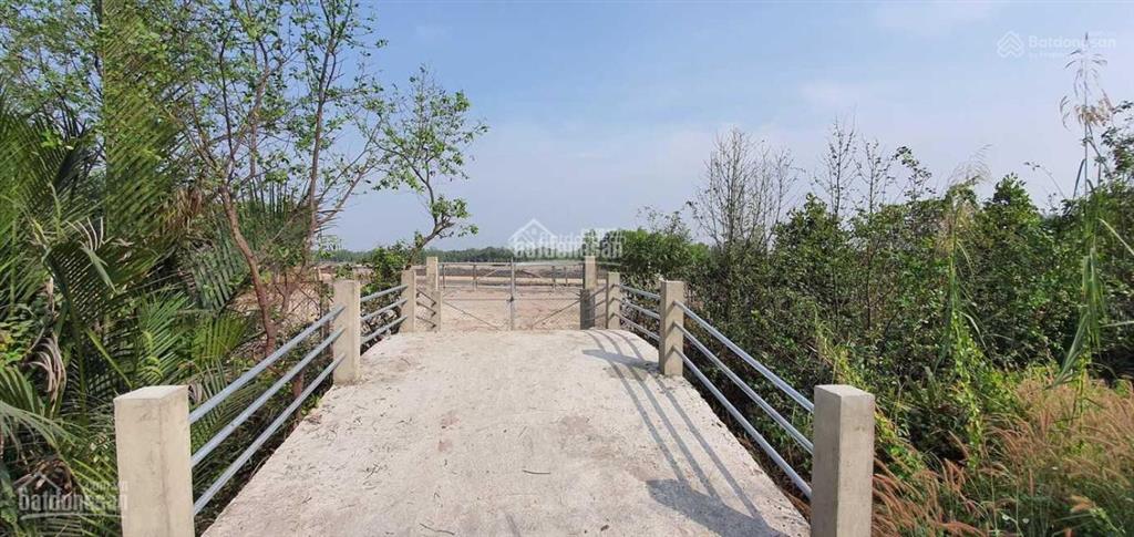 Chính chủ cần bán 1.154m2 đất với 70m mặt tiền đường bà xán, thanh khoản tốt, khai thác ngay