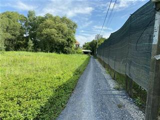 Gấp hàng ngộp 546m2 đất vườn 3,2 tỷ giảm còn 2,8 tỷ xã bình chánh h.bình chánh cách đinh đth 100m