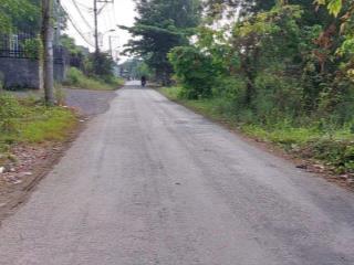 Bán đất vườn dân cư mới 529m2 10x52m tại xã tân quý tây, huyện bình chánh, hồ chí minh giá 2,8 tỷ