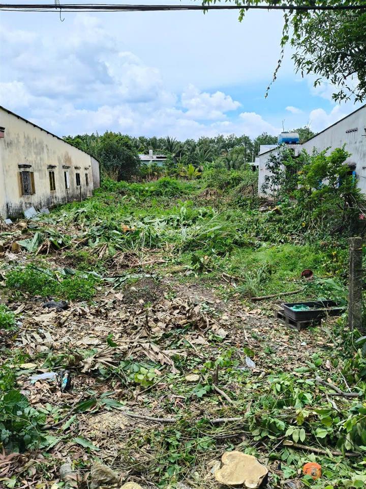 Bán đất mt đường thanh niên xã phạm văn hai bình chánh hồ chí minh 8,5tỷ 737m2 13,6x54 276m2 thổ cư