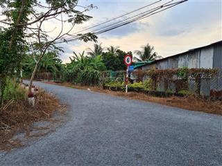 Bán đất vườn quy hoạch xây mới đường ba chả xã hưng long bình chánh 1842 m2 8ty7 thương lượng