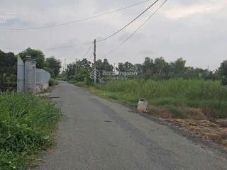 Bán căn nhà sân vườn đường liên tổ 48, xã hưng long, bình chánh, 1325 m2 có 300m2 thổ cư 10 tỷ 8 tl