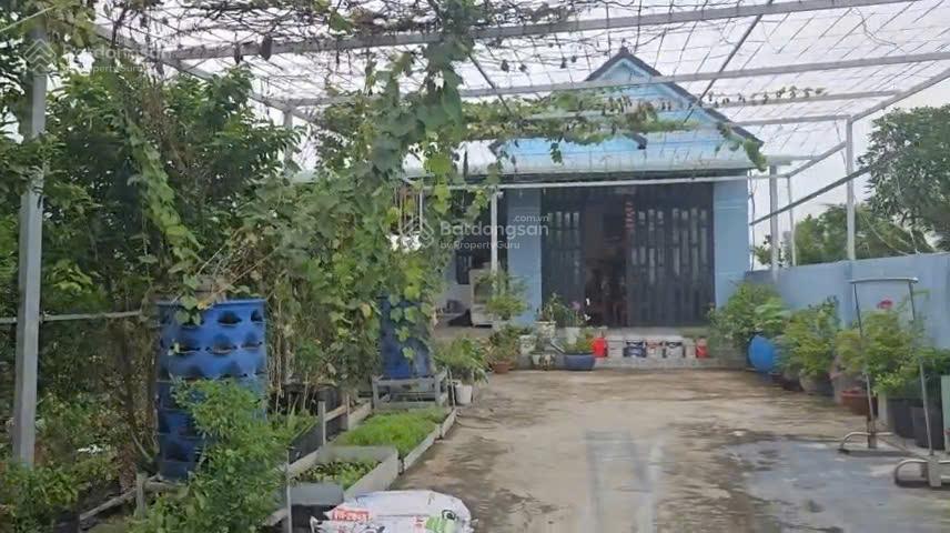Bán căn nhà sân vườn đường liên tổ 48, xã hưng long, bình chánh, 1325 m2 có 300m2 thổ cư 10 tỷ 8 tl