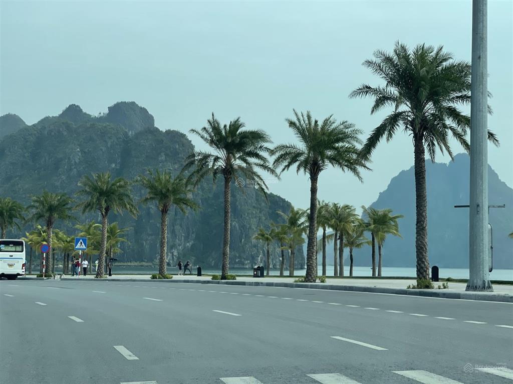 Đất vàng 600m2, mt30m mặt biển cột 5 hồng hà, hạ long . sổ đỏ lâu dài. giá 116 tỷ.