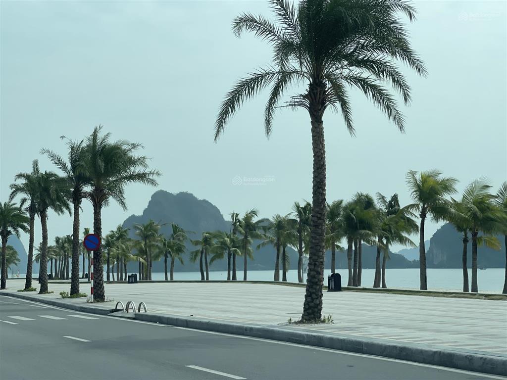 Phải bán thôi! đất biệt thự 312m² mặt biển quay bãi tắm hòn gai. phường hạ long, quảng ninh.