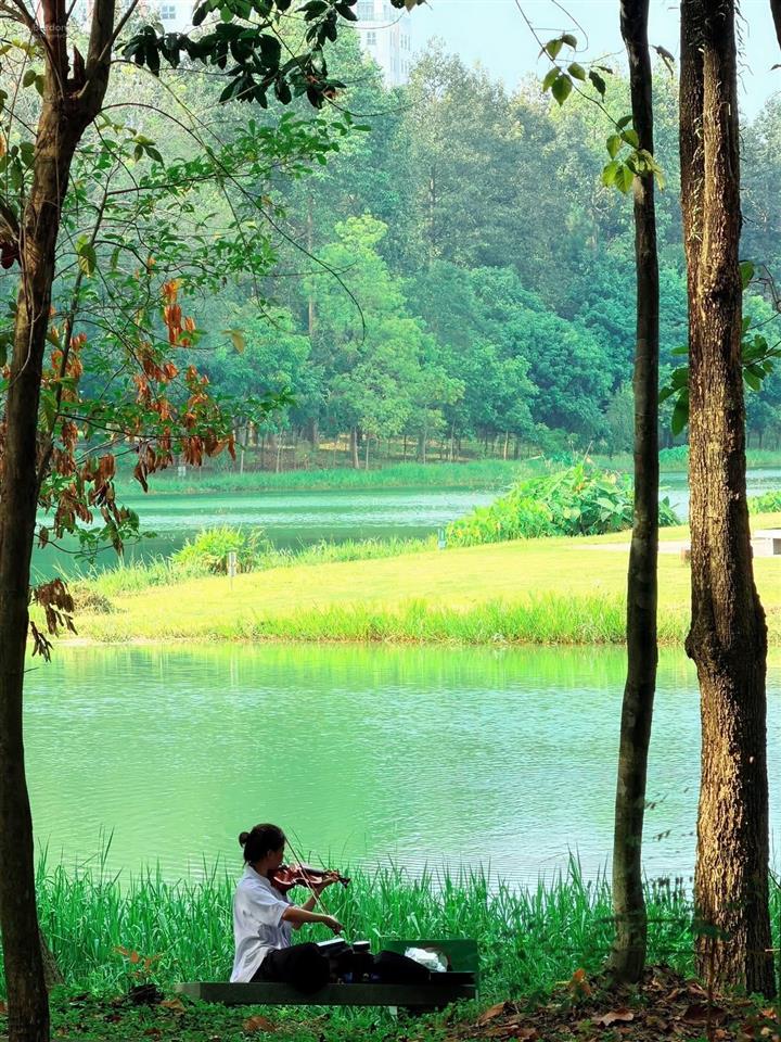 Bán lỗ 2 tỷ căn biệt thự lớn nhất the orchard