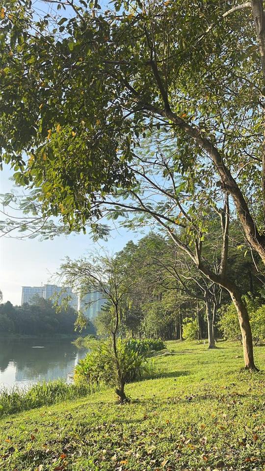 Bán lỗ 2 tỷ căn biệt thự lớn nhất the orchard