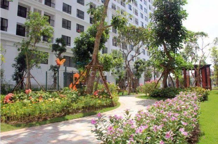 CĂN HỘ HIỆN ĐẠI LIỀN KỀ TIMES CITY