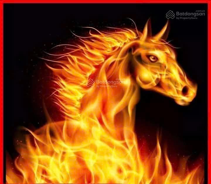 Đất khu e kim long 200m gần mêga đường 7m5