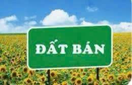 Đất khu e kim long 200m gần mêga đường 7m5