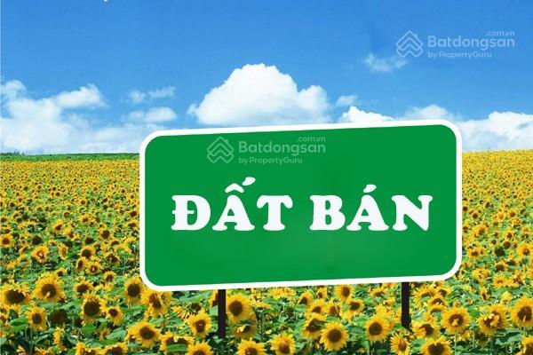 Đất trần nhân tông đường 15m tiện xây chdv